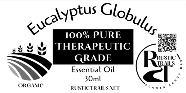 Organic Therapeutic Eucalyptus Globulus Essential Oil